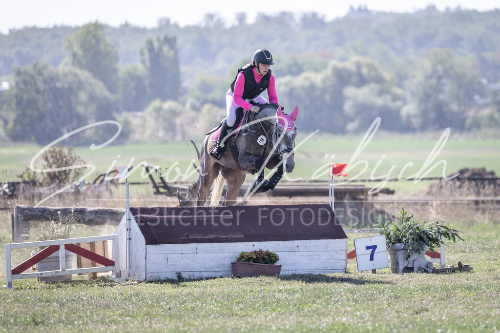 20260906-_3LI2494 | Tierfotografie Pferde, Hunde, Katzen, Haustiere.
Turnierfotografie Reitturniere, Reiten, Springreiten, Dressur in Hanau, dem Main-Kinzig-Kreis und dem Rhein-Main- Gebiet um Frankfurt