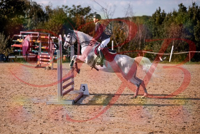 2026_10_03_Siefer-Hof_155127_Z81_70301096 | Professionelle Reitsport-, Turnier- und Eventfotografie von Robert Broda. Galerien mit ausgewählten und bearbeiteten Bildern direkt online ansehen und bestellen.