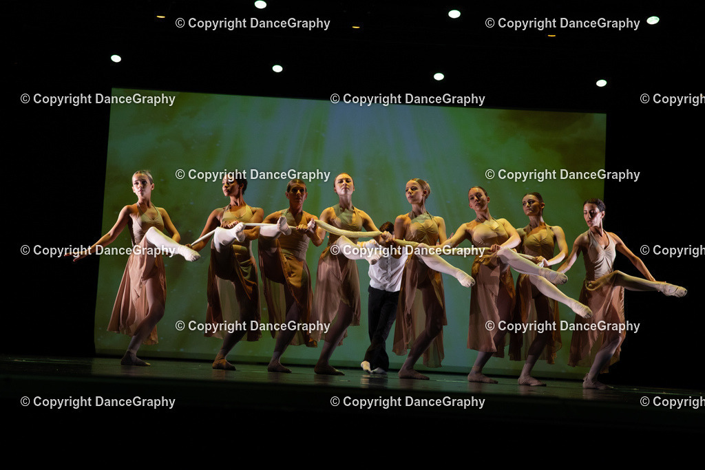 GPHY6324 | DanceGraphy - Realisiert mit Pictrs.com