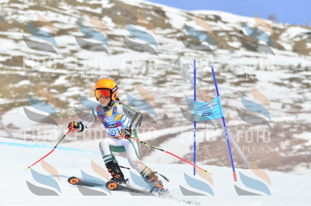 _ELE2196 | holidayphoto