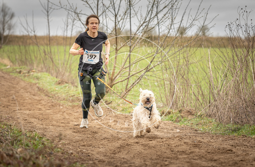 DV3A2378 | Hundefotografie, Tierfotograf, Pfotenfotografie, Fotoshooting Hund, Hunde Portrait, Hundesport, Hundeportraits, Heideshooting, Hunde, Sportfotograf, Hundefotograf, Turnierhundsport, THS,  - Realisiert mit Pictrs.com