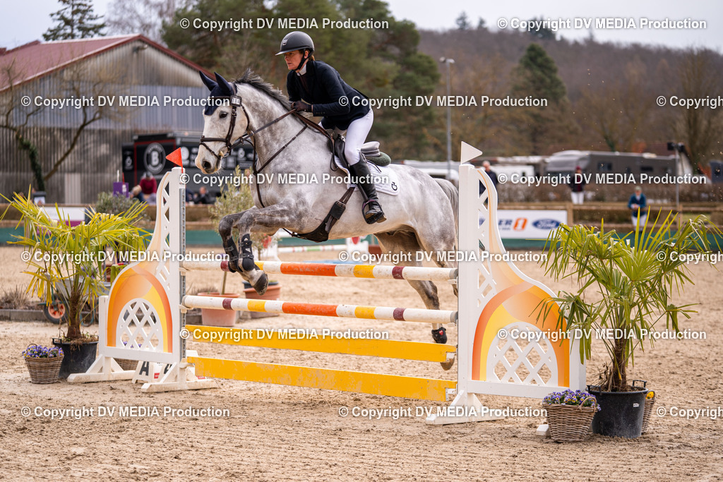 Kranichstein Tag 2-656 | dv-media-shop - Realisiert mit Pictrs.com