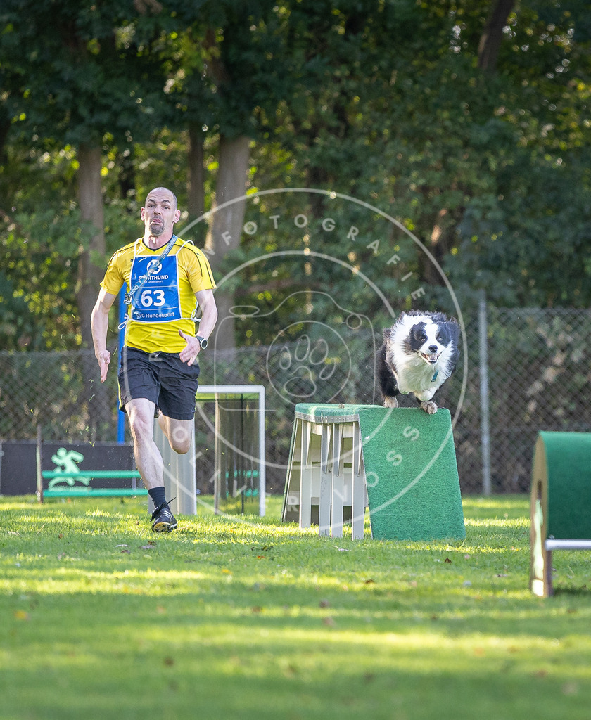 Pfotenfotografie.de_DV3A3680 | Hundefotografie, Tierfotograf, Pfotenfotografie, Fotoshooting Hund, Hunde Portrait, Hundesport, Hundeportraits, Heideshooting, Hunde, Sportfotograf, Hundefotograf, Turnierhundsport, THS, canicross - Realisiert mit Pictrs.com