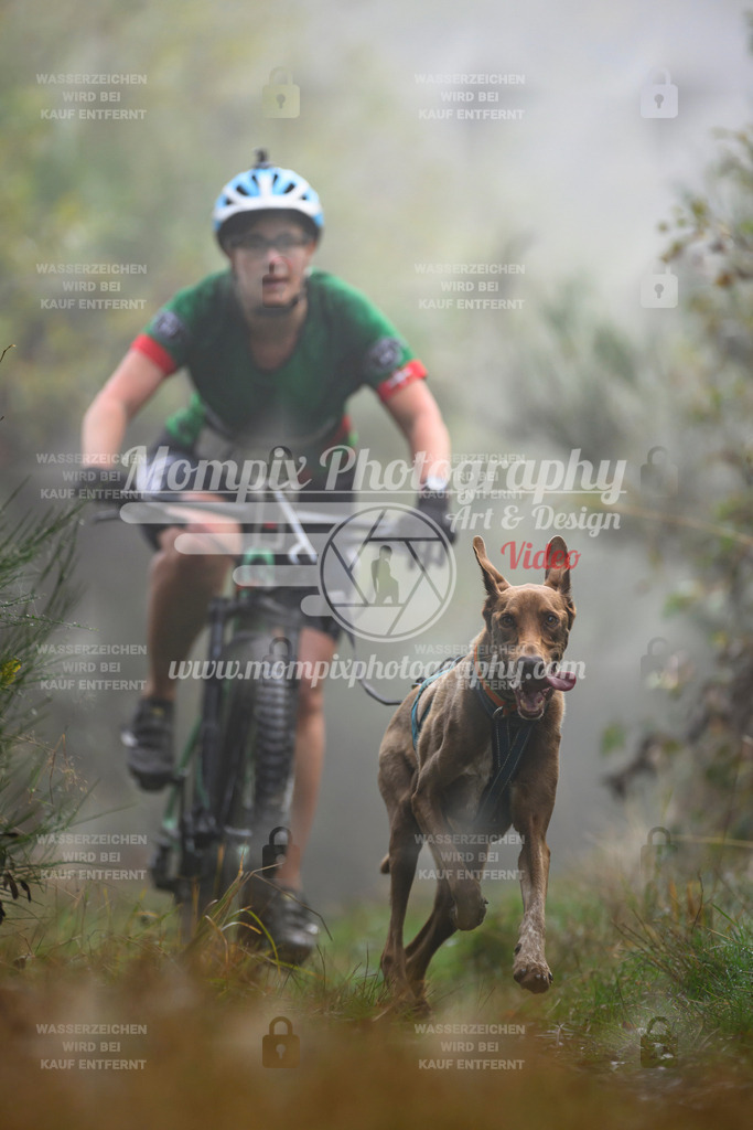 MompixPhotography_20TSB_E4_Bike-152 | PayLife