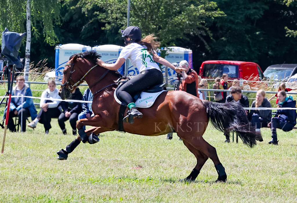 IMG_1638 | Reitsport Reiten