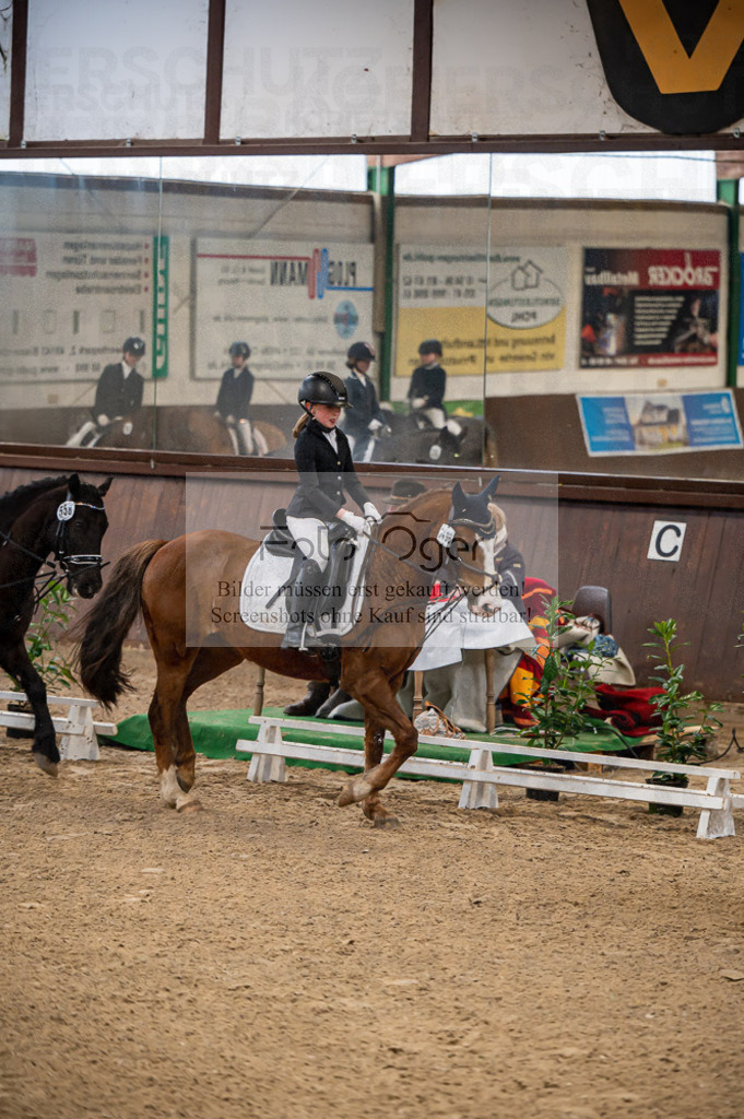Hallenreittunier Voxtrup 2023 | Entdecke hochwertige Reitturnierfotos von Foto Oger. Professionell, emotional und authentisch – jetzt Lieblingsmomente im Shop bestellen.Deutschlandweite Turnierfotografie. - Realisiert mit Pictrs.com