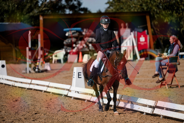 2026_10_03_Siefer-Hof_122336_Z63_45926848 | Professionelle Reitsport-, Turnier- und Eventfotografie von Robert Broda. Galerien mit ausgewählten und bearbeiteten Bildern direkt online ansehen und bestellen.