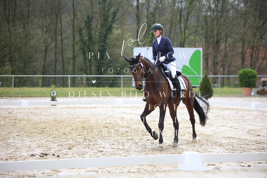 IMGT3054 | pl-fotografie