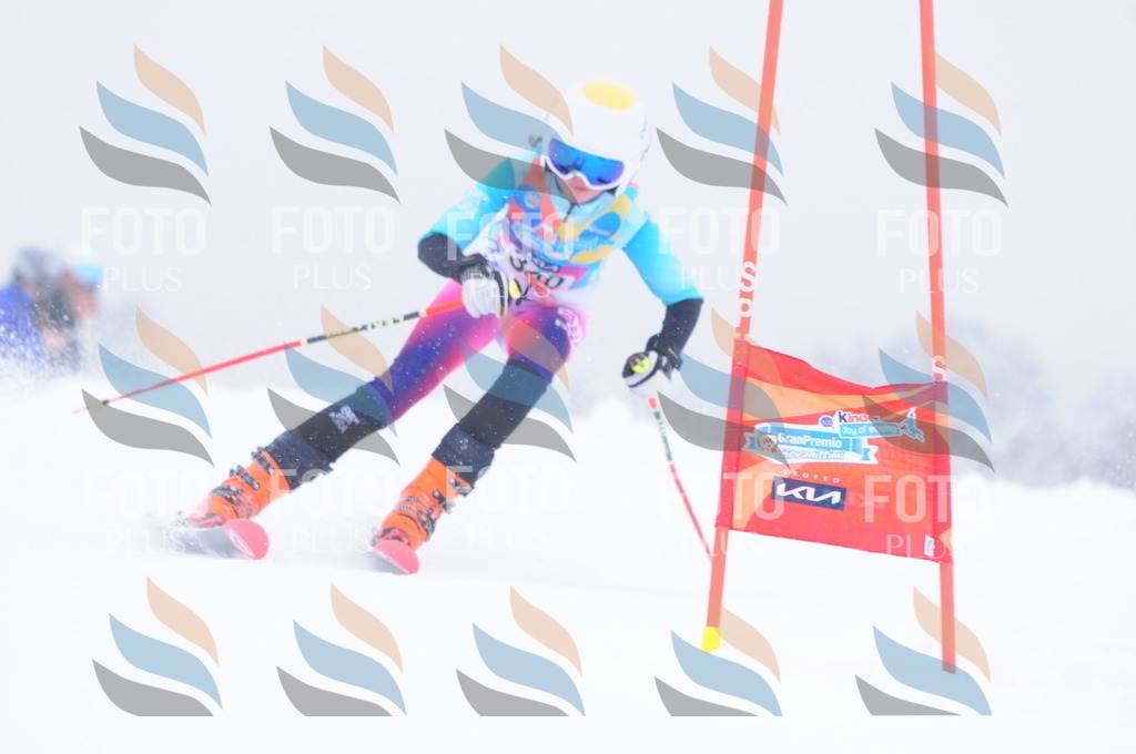 C3643 | holidayphoto