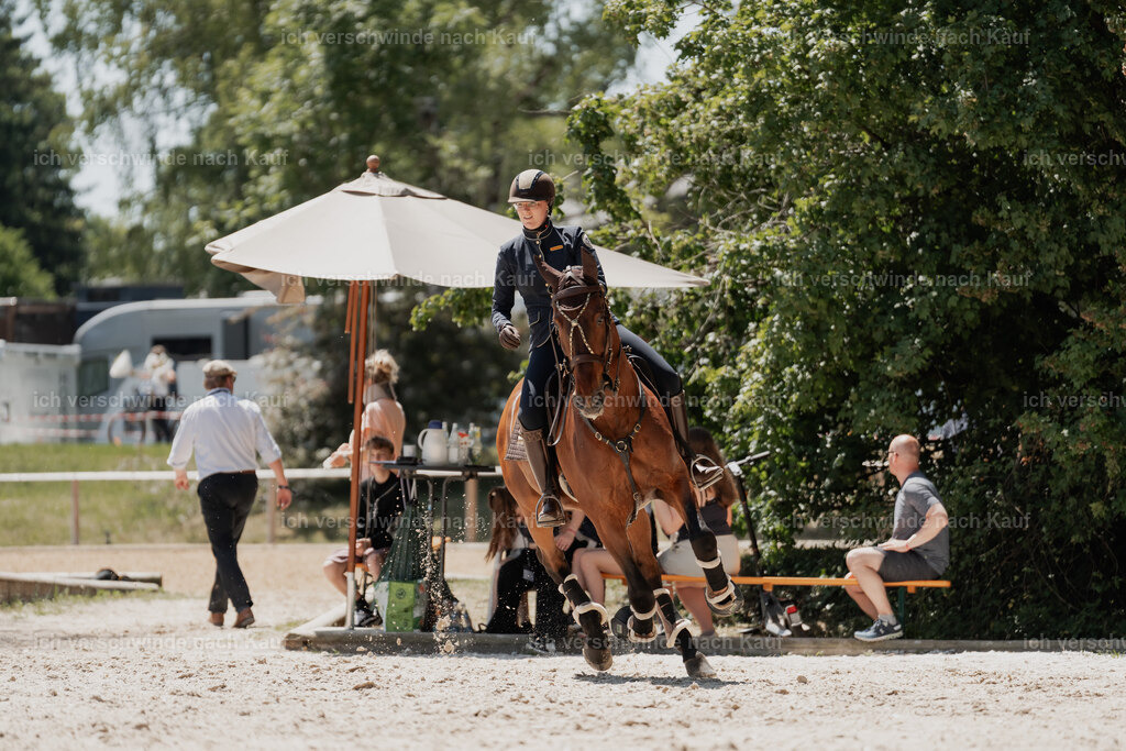 WE_SP_Stoib_340_PI2025_1945 | Pferd International München 2025