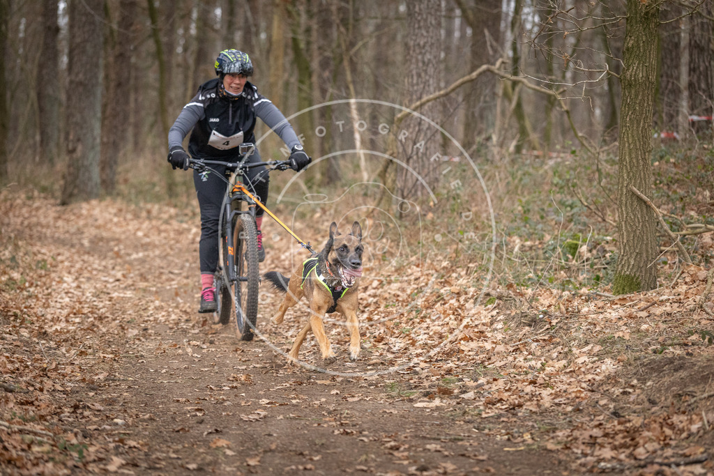 Pfotenfotografie_DV3A6371 | Hundefotografie, Tierfotograf, Pfotenfotografie, Fotoshooting Hund, Hunde Portrait, Hundesport, Hundeportraits, Heideshooting, Hunde, Sportfotograf, Hundefotograf, Turnierhundsport, THS,  - Realisiert mit Pictrs.com