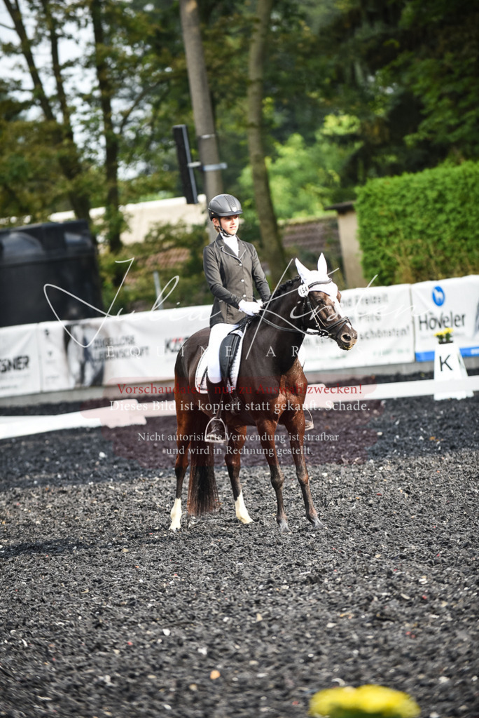DSC_3416 | Pferde- und Turnierfotografie in Westsachsen. Pferdeportraits, Auftragszeichnungen und intuitive Kunst.