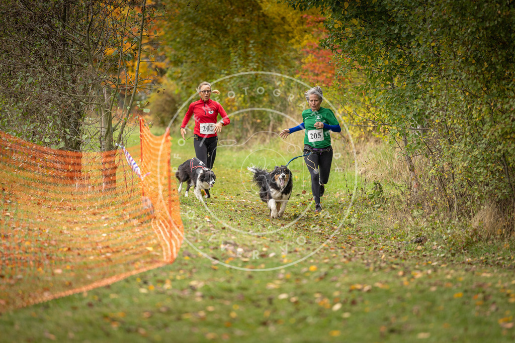 Pfotenfotografie_DV3A4111 | Hundefotografie, Tierfotograf, Pfotenfotografie, Fotoshooting Hund, Hunde Portrait, Hundesport, Hundeportraits, Heideshooting, Hunde, Sportfotograf, Hundefotograf, Turnierhundsport, THS,  - Realisiert mit Pictrs.com