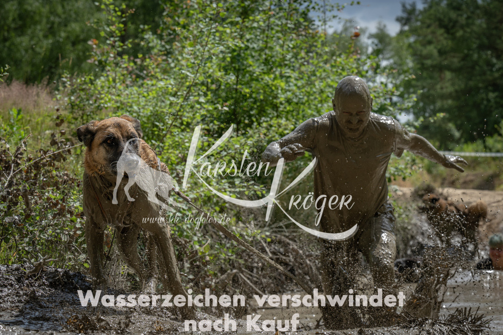 1437_ZZ93429 | kk-dogfotos