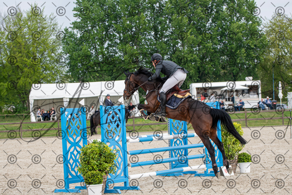 KPT_3205 | andre_photographic