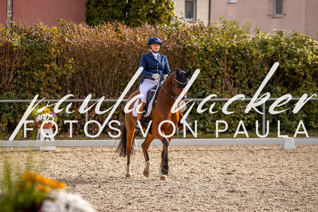 IMG_3232 | Erleben Sie dynamische Sport- und emotionale Tierfotografie in Süddeutschland mit Fotos von Paula. Spezialisiert auf Pferde- und Hundefotografie sowie Sportevents. Kontaktieren Sie mich für einzigartige und ausdrucksstarke Bilder Ihrer besonderen Momente.