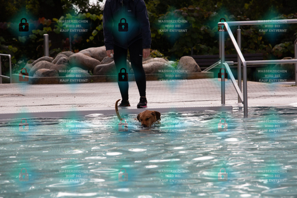 _HP_7504_1000o | HetPix, HetPix Fotodesign, Fotografie, Fotodesign, Webshop, Sportfotografie, Portraitfotografie, Onlineshop, Sportfotografie, Polch, Motorsportfotografie, Eventfotografie