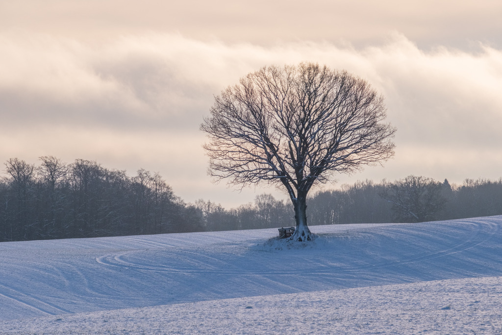 DSCF7634 | Entdecken Sie hochwertige Fotoprodukte für Ihr Zuhause, Büro oder als besonderes Geschenk.rpixel.de bietet Ihnen exklusive Fotografien aus den Bereichen Natur, Landschaft und Motiven vom Meer.Einfach direkt im Online-Shop bestellen. - Realisiert mit Pictrs.com