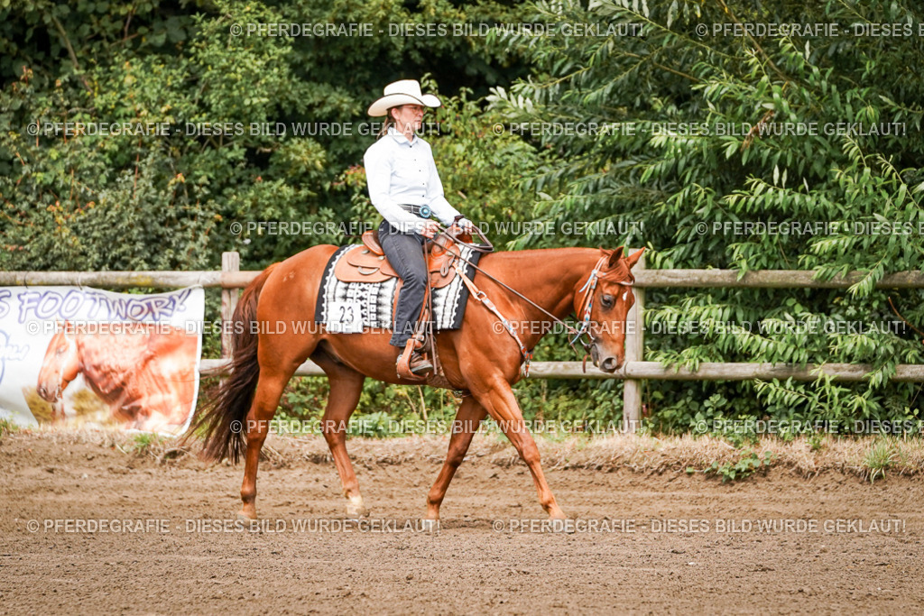 DSC06686 | Pferdegrafie