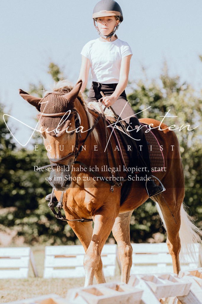 DSC_7301 | Pferde- und Turnierfotografie in Westsachsen. Pferdeportraits, Auftragszeichnungen und intuitive Kunst.