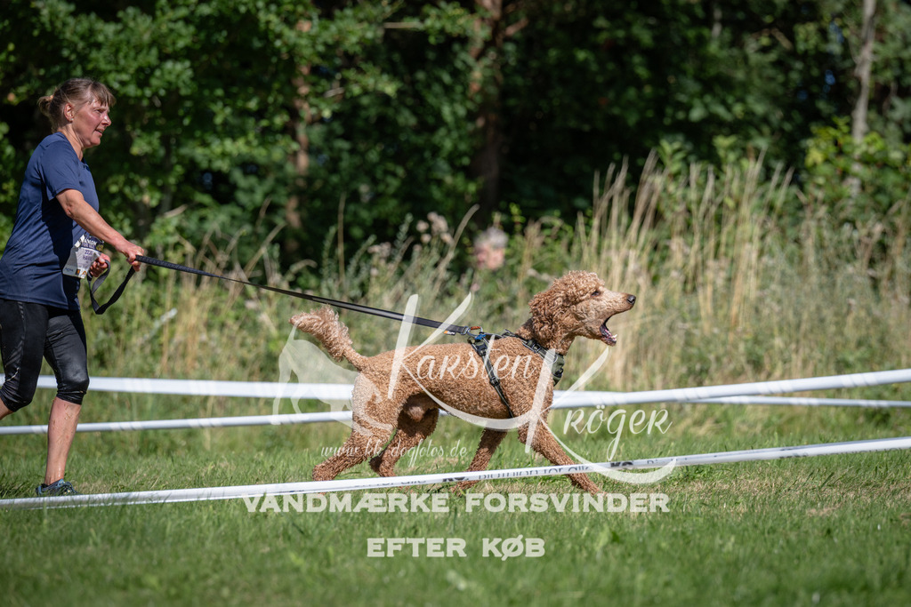 1122_ZZ91456 | kk-dogfotos