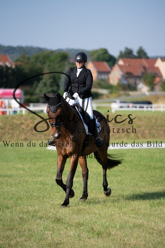 A7V09270 | Pferdefotograf