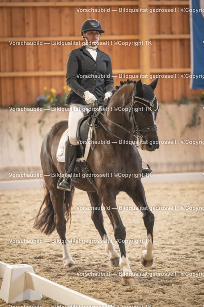 _D5A3466 | Emotionale Pferde- & People-Fotografie rund um Heidelberg, Leimen & Umgebung. Natürliche Fotos von Pferd, Mensch & Familie. Jetzt Termin sichern!