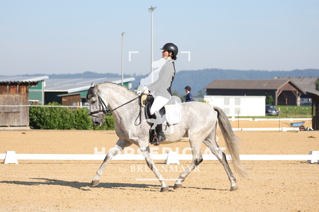 0P6A8696 | Willkommen bei Brunnmayr - Design & Fotografie – Ihrem Spezialisten für Reitturniere und Pferdeveranstaltungen in Oberösterreich, Salzburg und Bayern! Seit über 17 Jahren sind wir leidenschaftlich dabei.