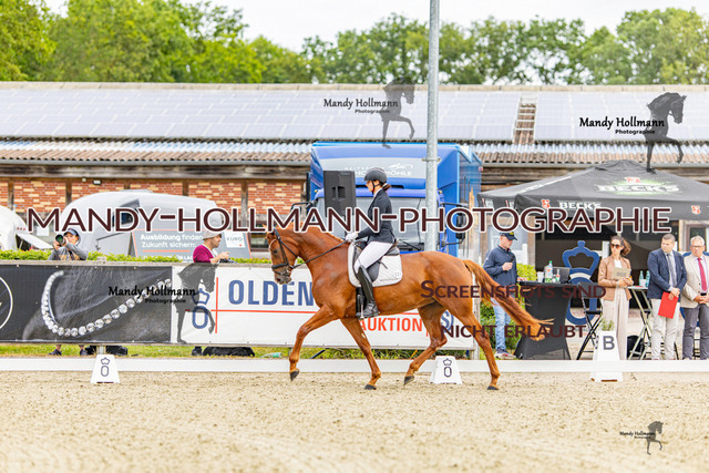 SW 4-15 | mandyhollmannphotographie
