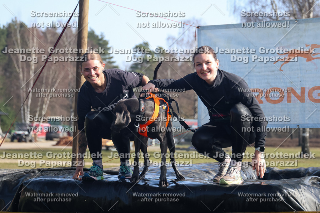 Dog Paparazzi - Strongdog North Mrz26-1382 | Dog Paparazzi Jeanette Grottendiek Fotografie & Videografie - Realisiert mit Pictrs.com
