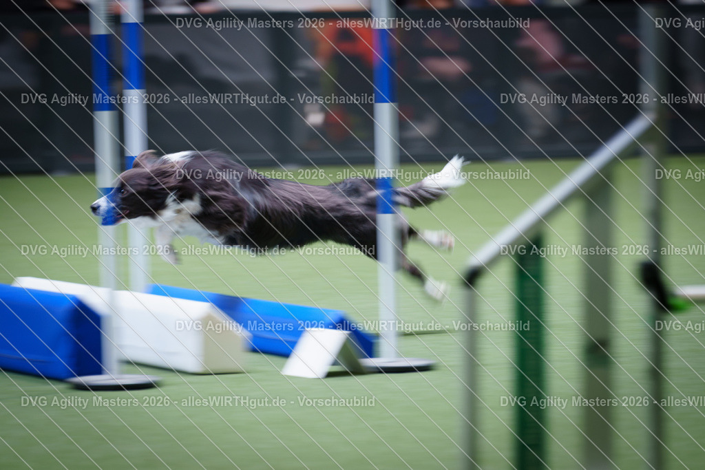 allesWIRTHgut_Tierfotografie-DVG_Agility_Masters_2026-15_38-7R506666 | Professionelle Tierfotografie in Mönchengladbach von Daniel Wirth (allesWIRTHgut). Liebevolle & natürliche Bilder von Hunden & Katzen für unvergessliche Erinnerungen.