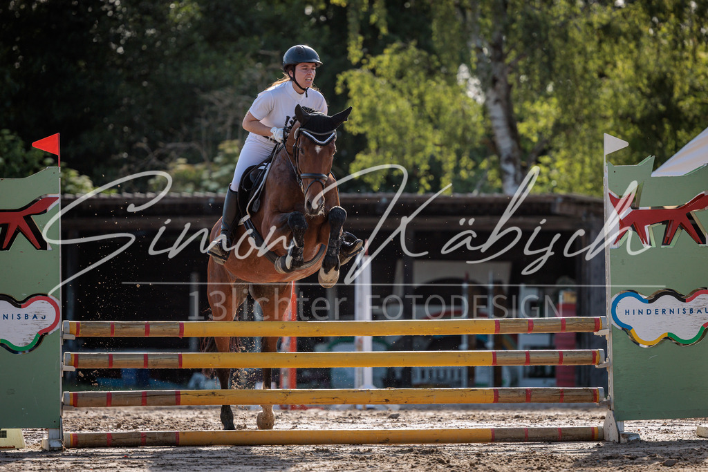 20260529-_3LI0280 | Tierfotografie Pferde, Hunde, Katzen, Haustiere.
Turnierfotografie Reitturniere, Reiten, Springreiten, Dressur in Hanau, dem Main-Kinzig-Kreis und dem Rhein-Main- Gebiet um Frankfurt