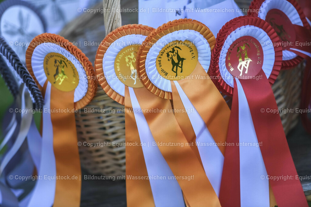 20230908_14-15_Springpferde-A_0108 | equistock