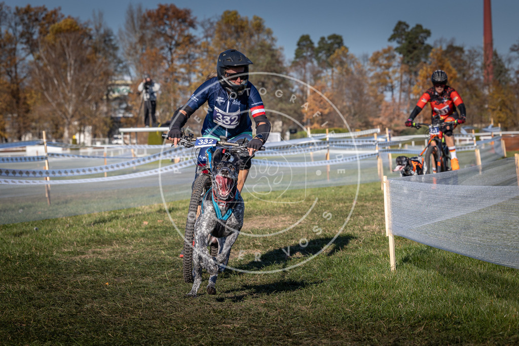 CaniXpix_0L8A5805 | Hundefotografie, Tierfotograf, Pfotenfotografie, Fotoshooting Hund, Hunde Portrait, Hundesport, Hundeportraits, Heideshooting, Hunde, Sportfotograf, Hundefotograf, Turnierhundsport, THS,  - Realisiert mit Pictrs.com