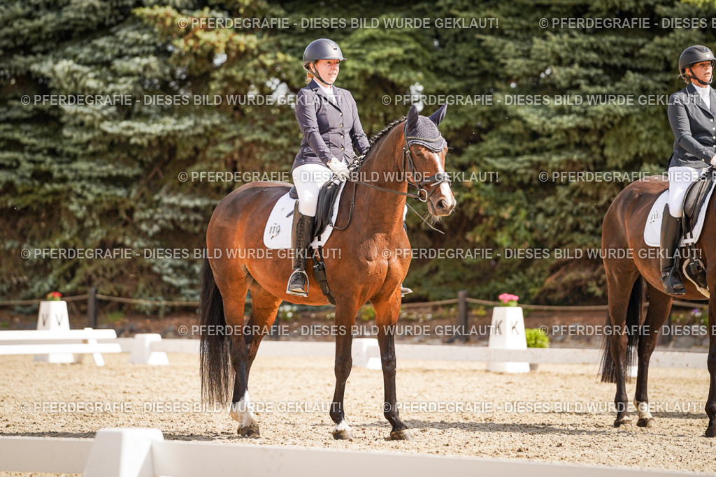 DSC01151 | Pferdegrafie