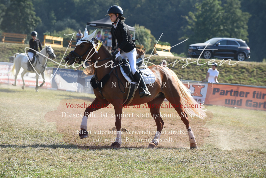 DSC_6205 | Pferde- und Turnierfotografie in Westsachsen. Pferdeportraits, Auftragszeichnungen und intuitive Kunst.