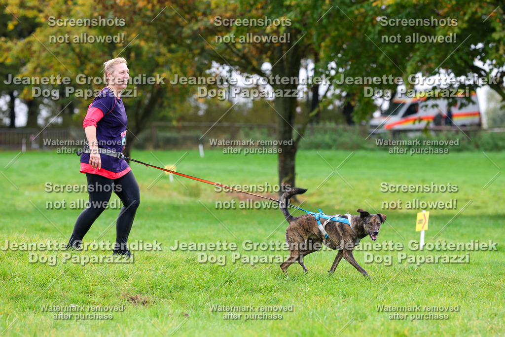 Dog Paparazzi -  SD1026-1121 | Dog Paparazzi Jeanette Grottendiek Fotografie & Videografie - Realisiert mit Pictrs.com