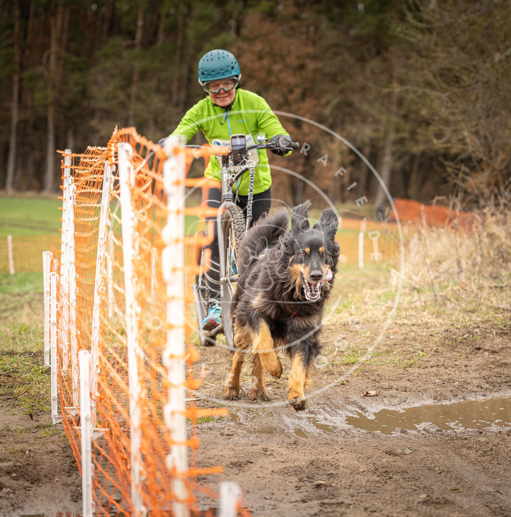 DV3A1658 | Hundefotografie, Tierfotograf, Pfotenfotografie, Fotoshooting Hund, Hunde Portrait, Hundesport, Hundeportraits, Heideshooting, Hunde, Sportfotograf, Hundefotograf, Turnierhundsport, THS,  - Realisiert mit Pictrs.com