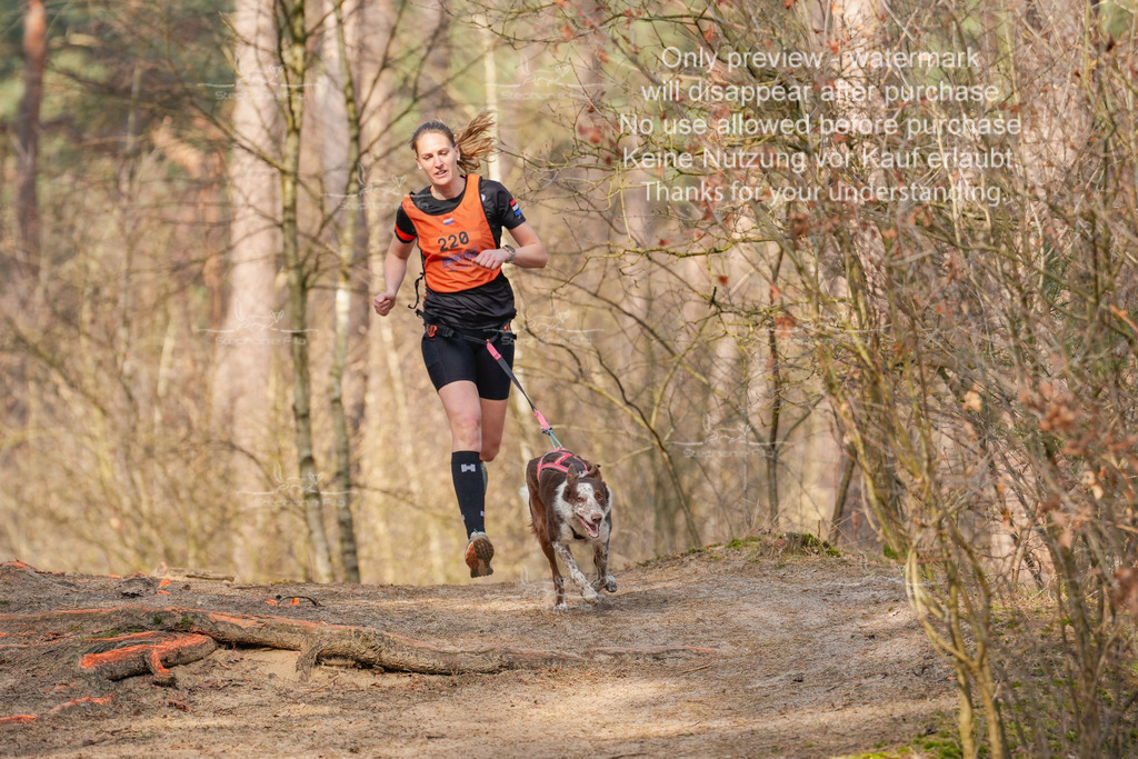 LangeCross_So-160 | stephaniefillaphotographie - Realisiert mit Pictrs.com