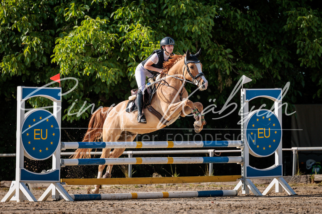 20260529-_3LI0043 | Tierfotografie Pferde, Hunde, Katzen, Haustiere.
Turnierfotografie Reitturniere, Reiten, Springreiten, Dressur in Hanau, dem Main-Kinzig-Kreis und dem Rhein-Main- Gebiet um Frankfurt