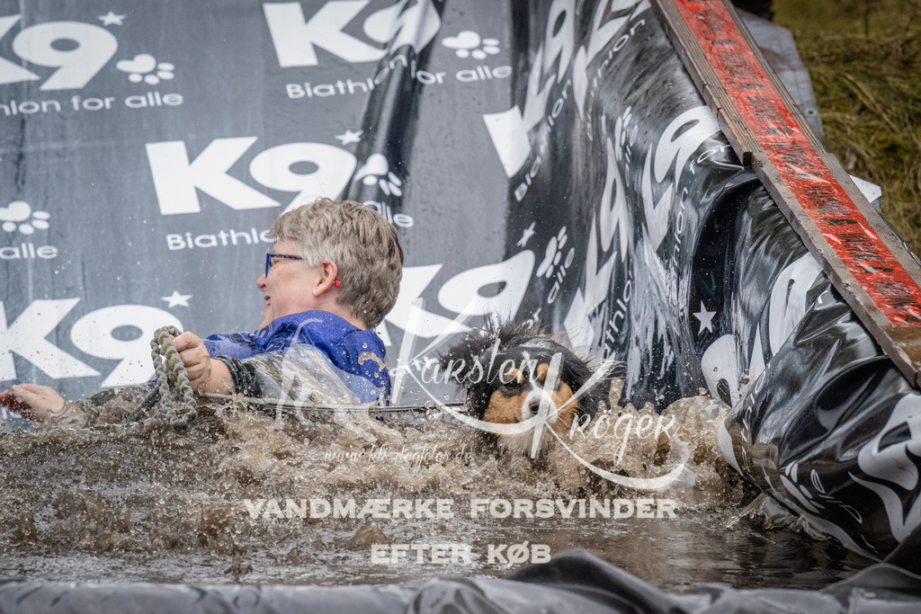 1151_ZZ93664 | kk-dogfotos