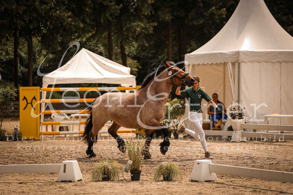 SaSieger00016 | Leoni Ertmer Photography - Realisiert mit Pictrs.com