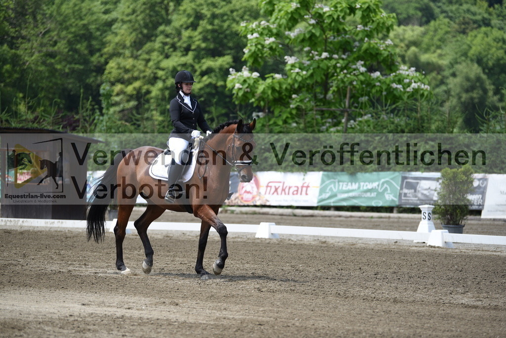 DSC_9903 | equestrian-live-com