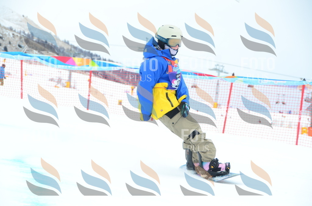 DSC_2249 | holidayphoto