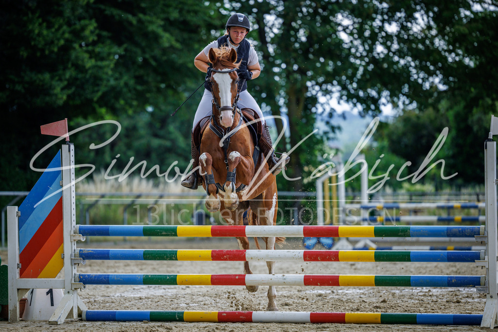 20260705-_3LI4445 | Tierfotografie Pferde, Hunde, Katzen, Haustiere.
Turnierfotografie Reitturniere, Reiten, Springreiten, Dressur in Hanau, dem Main-Kinzig-Kreis und dem Rhein-Main- Gebiet um Frankfurt
