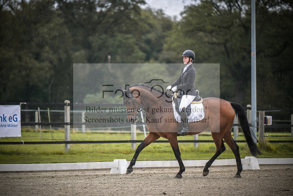 DOS_0568 | Entdecke hochwertige Reitturnierfotos von Foto Oger. Professionell, emotional und authentisch – jetzt Lieblingsmomente im Shop bestellen.Deutschlandweite Turnierfotografie. - Realisiert mit Pictrs.com