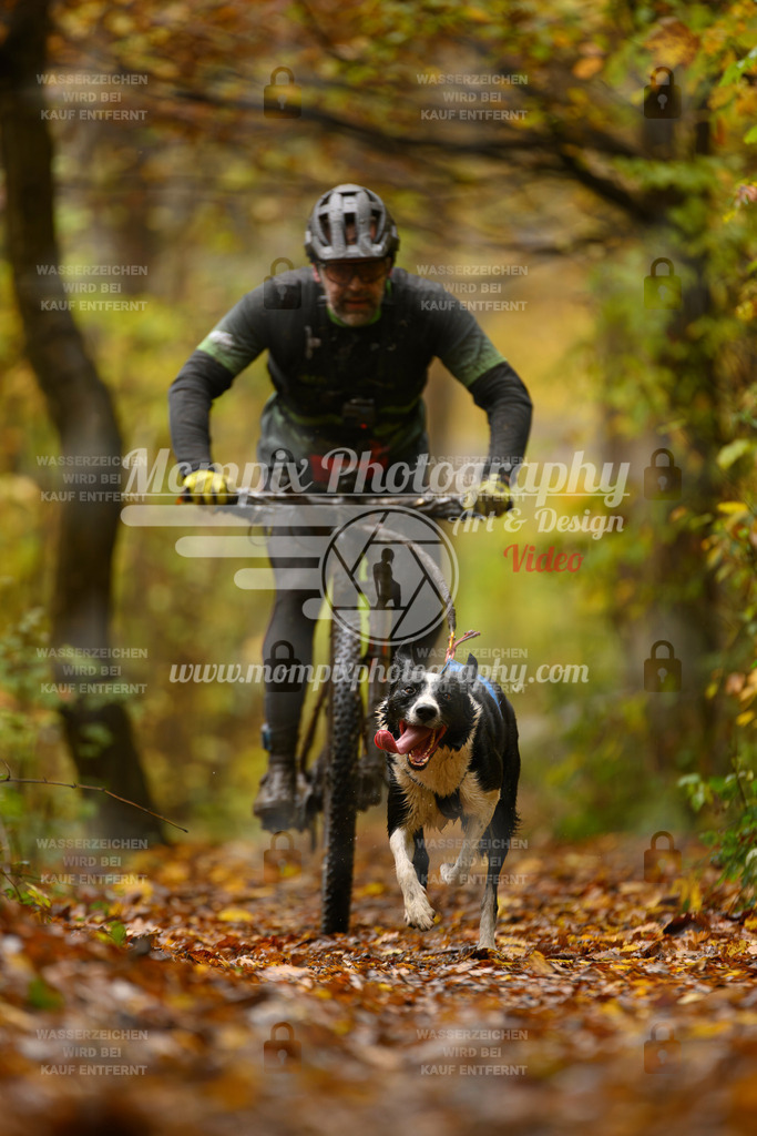 MompixPhotography_CD7S_DI_Bike-22 | mompixphotography