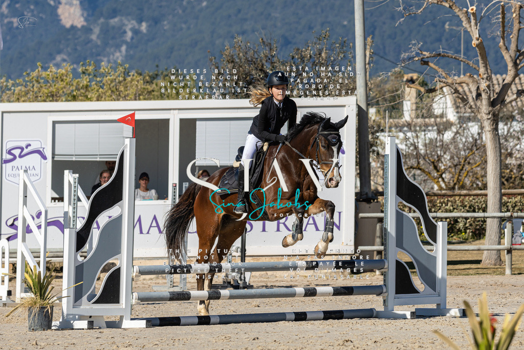 IMG_8631 | s-jay-photography - Realisiert mit Pictrs.com