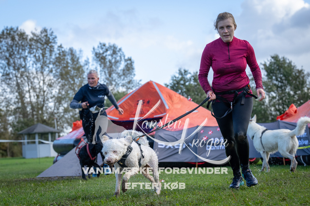 1256-90219 | kk-dogfotos