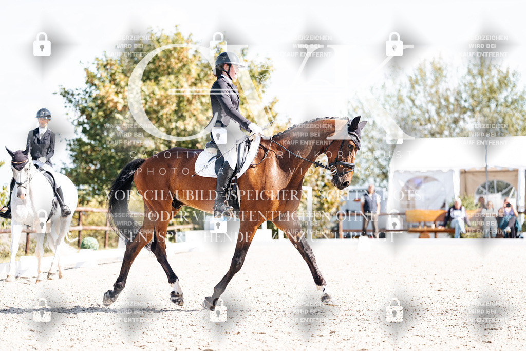 CK902933 | Turnierfotografie Pferdefotografie Trier Rheinland-Pfalz Pferdesport Reitsport Tierfotografie Sportfotografie Pferdevideo Pferdevideografie Equestrianvideography equestrianphotography  - Realisiert mit Pictrs.com